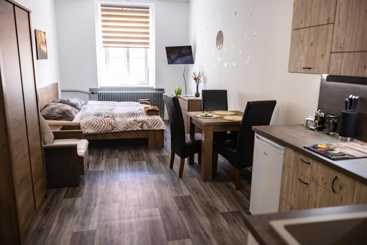 Apartmany Nezarka A Privatni Wellness Їндржихув-Градец Екстер'єр фото